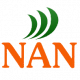 логотип NAN студия